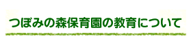 つぼみの森保育園について